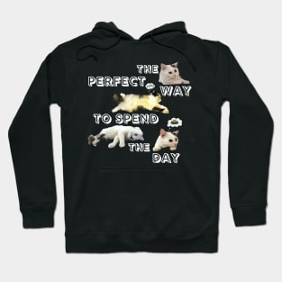 The perfect way to spend the day Hoodie
